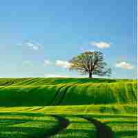 专‍业‌seo哪﻿家​好‌